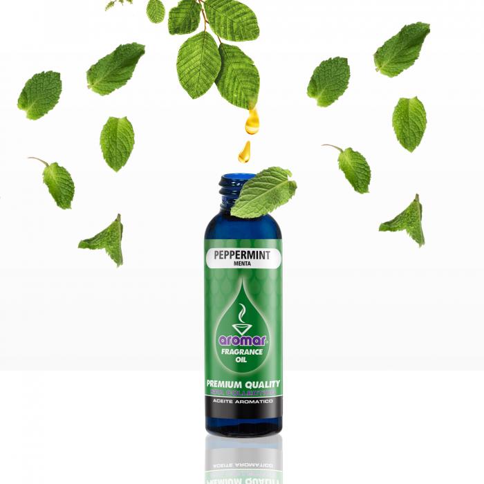 Fragrance Burn Scented Oil - Peppermint 2 oz