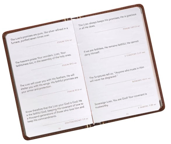 Promises From God For Every Man Gift Book, Lux Leather, Brown