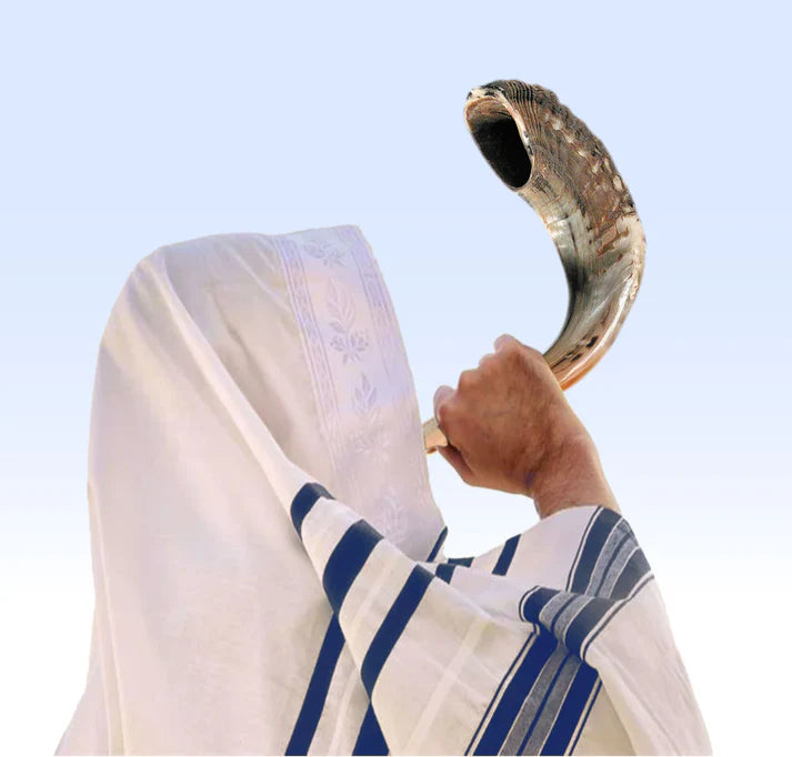 Shofar-Ram Horn (12"-13")