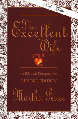 The Excellent Wife: Study Guide