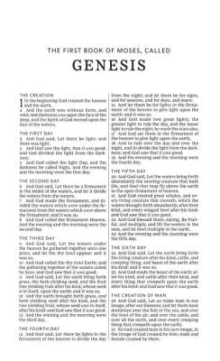 KJV, Thinline Bible, Leathersoft, Brown, Comfort Print (Copy)