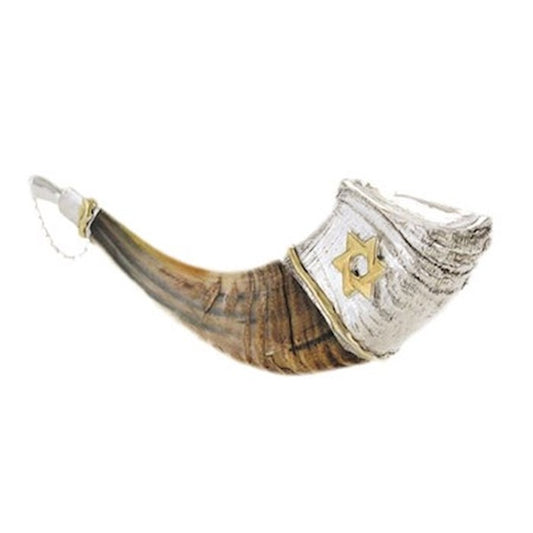 Silver-Plated Ram's Horn Anointing Oil Shofar