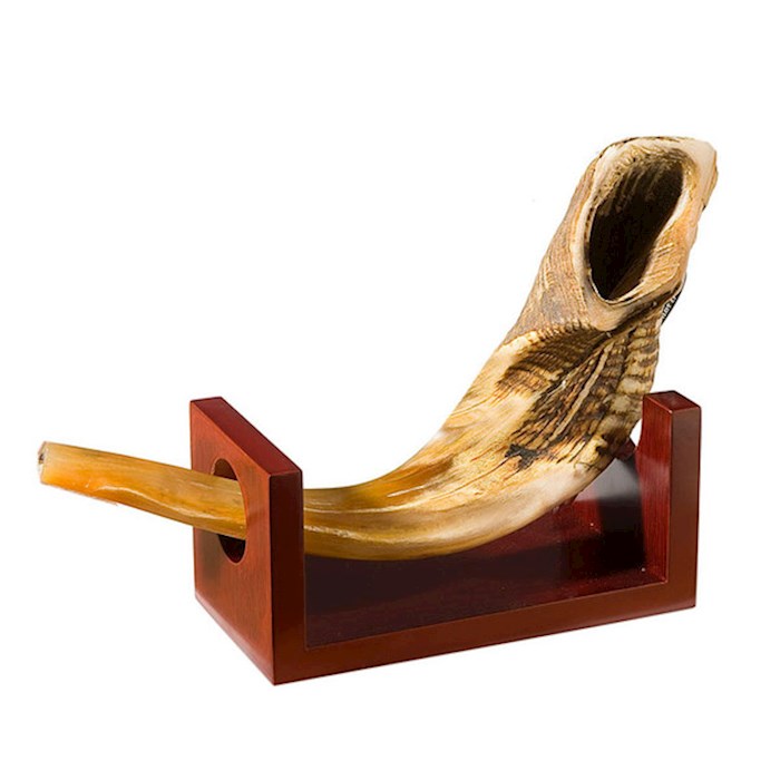 Rams Horn Small Wooden Display Stand