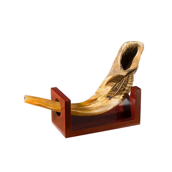 Rams Horn Large Wooden Display Stand