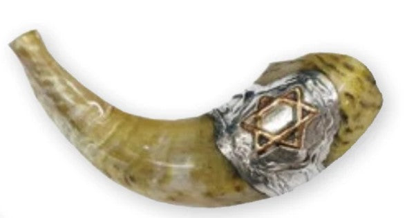 Silver-Plated Ceremonial Ram's Horn Shofar 8"- 10"