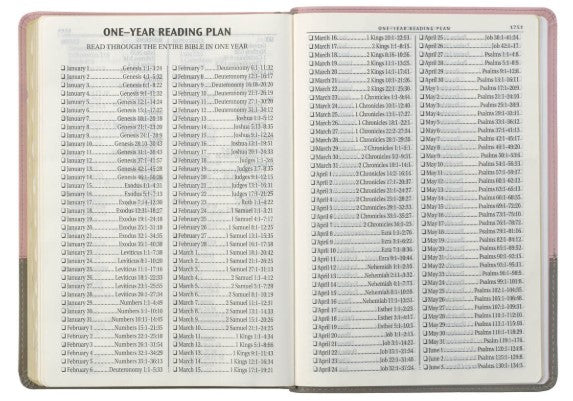 Pink and Gray Faux Leather Super Giant Print Full-size King James Version Bible with Thumb Index