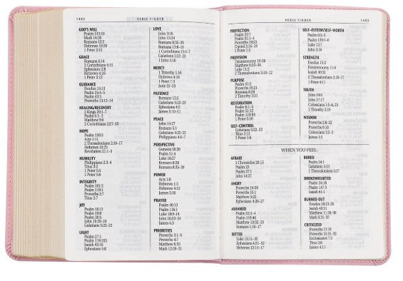 Ballet Pink Large Print Compact King James Version Bible