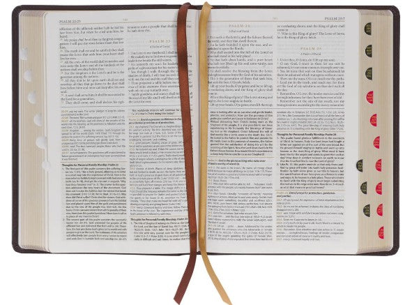 Burgundy Faux Leather King James Version Study Bible with Thumb Index